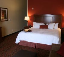 Hampton Inn & Suites Bastrop Room