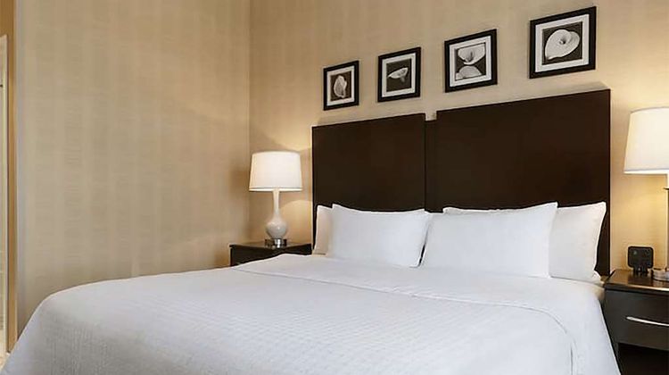 Homewood Suites by Hilton Room