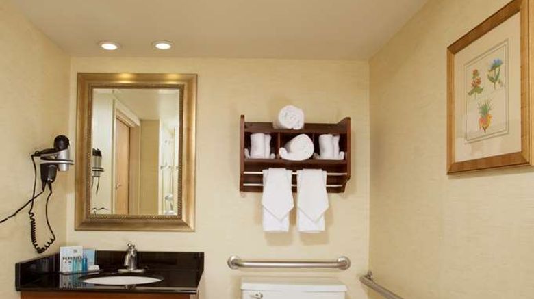 <b>Hampton Inn Alexandria/Pentagon South Room</b>. Images powered by <a href="https://iceportal.shijigroup.com/" title="IcePortal" target="_blank">IcePortal</a>.
