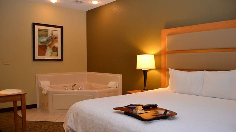 Hampton Inn & Suites Kalamazoo-Oshtemo Room