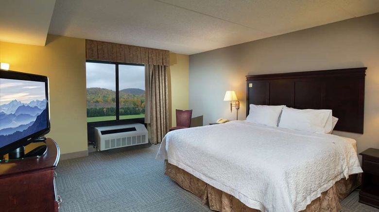 <b>Hampton Inn Bennington Room</b>. Images powered by <a href="https://iceportal.shijigroup.com/" title="IcePortal" target="_blank">IcePortal</a>.