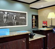 Hampton Inn & Suites Buffalo Lobby