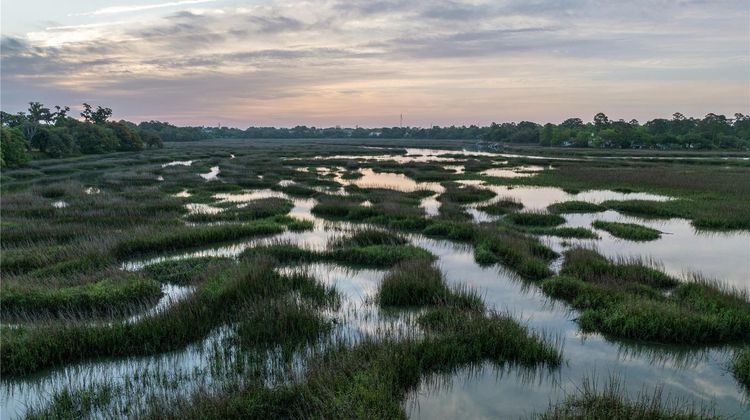 Hampton Inn Beaufort Other