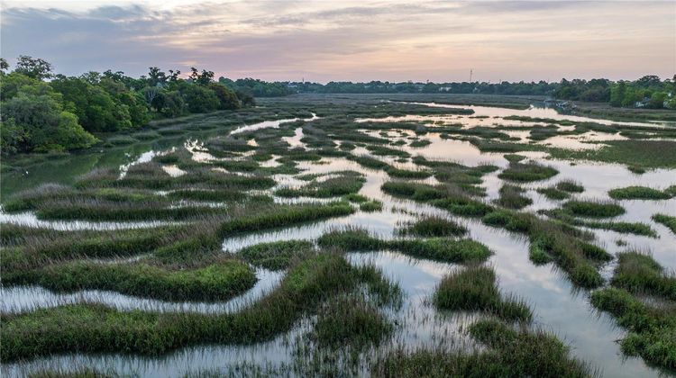 Hampton Inn Beaufort Other