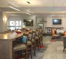 Hampton Inn Owego Lobby