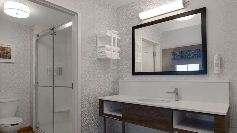 <b>Hampton Inn & Suites Billings West I-90 Room</b>. Images powered by <a href="https://iceportal.shijigroup.com/" title="IcePortal" target="_blank">IcePortal</a>.