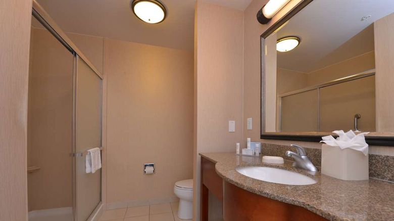 <b>Hampton Inn/Stes Bakersfield North-Arpt Room</b>. Images powered by <a href="https://iceportal.shijigroup.com/" title="IcePortal" target="_blank">IcePortal</a>.