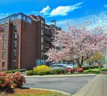 Hampton Inn & Suites Green Hills Exterior