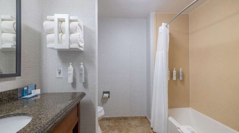 <b>Hampton Inn & Suites Brenham Room</b>. Images powered by <a href="https://iceportal.shijigroup.com/" title="IcePortal" target="_blank">IcePortal</a>.