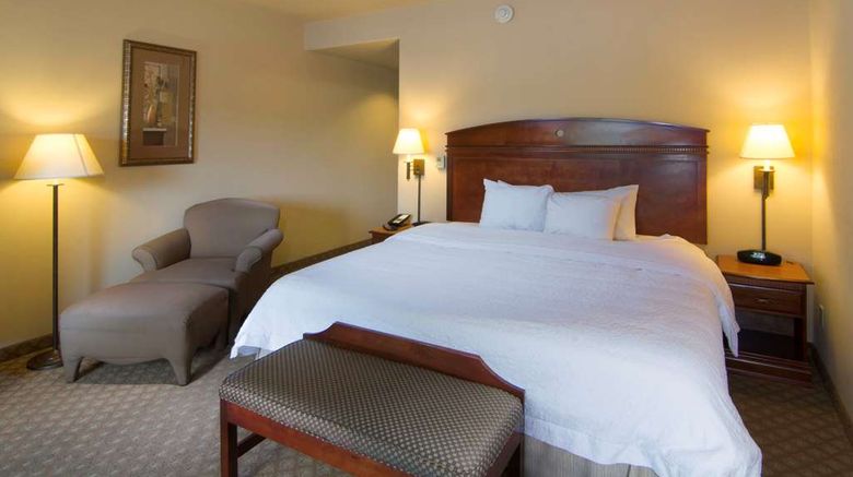<b>Hampton Inn and Suites Brownsville Room</b>. Images powered by <a href="https://iceportal.shijigroup.com/" title="IcePortal" target="_blank">IcePortal</a>.