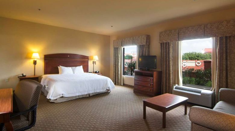 <b>Hampton Inn and Suites Brownsville Room</b>. Images powered by <a href="https://iceportal.shijigroup.com/" title="IcePortal" target="_blank">IcePortal</a>.