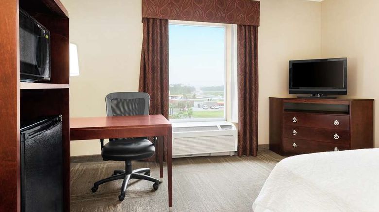 <b>Hampton Inn & Suites Brunswick Room</b>. Images powered by <a href="https://iceportal.shijigroup.com/" title="IcePortal" target="_blank">IcePortal</a>.