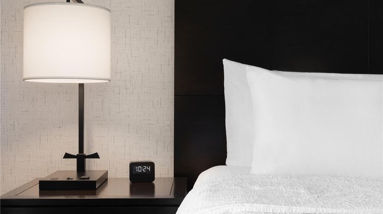 Hampton Inn & Suites Baton Rouge Downtwn Room