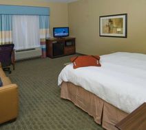 Hampton Inn & Suites Port Allen Room
