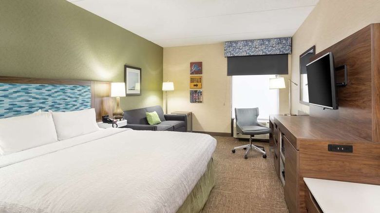 <b>Hampton Inn Buffalo South I-90 Other</b>. Images powered by <a href="https://iceportal.shijigroup.com/" title="IcePortal" target="_blank">IcePortal</a>.
