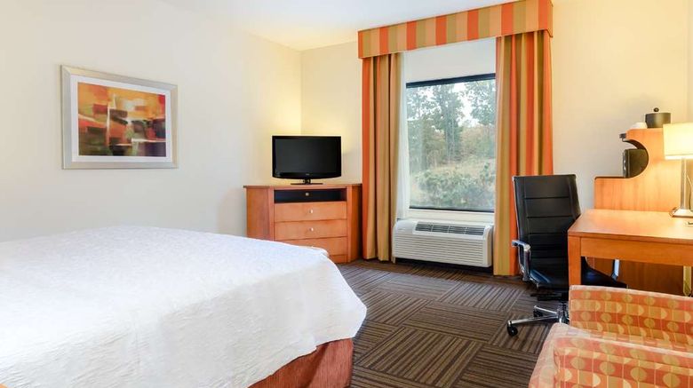 <b>Hampton Inn Ringgold-Ft. Oglethorpe Room</b>. Images powered by <a href="https://iceportal.shijigroup.com/" title="IcePortal" target="_blank">IcePortal</a>.