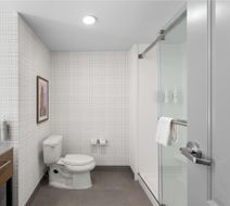 Hampton Inn & Stes Deer Park Room
