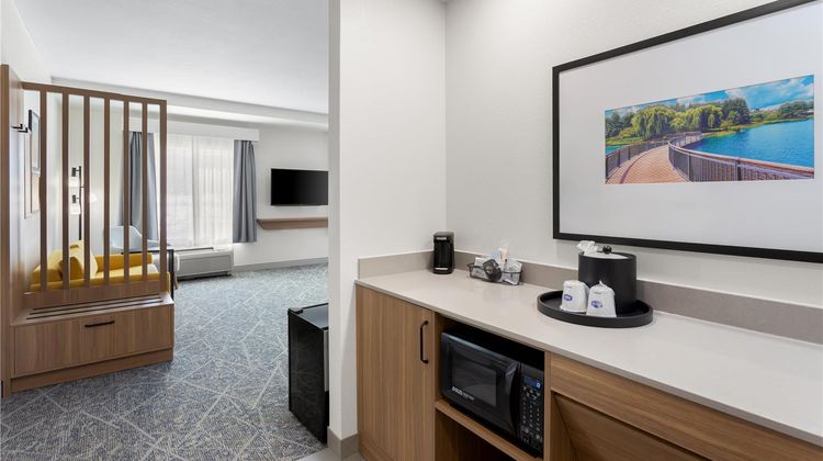 Hampton Inn & Stes Deer Park Other