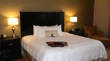 <b>Hampton Inn & Suites St Charles Room</b>. Images powered by <a href="https://iceportal.shijigroup.com/" title="IcePortal" target="_blank">IcePortal</a>.