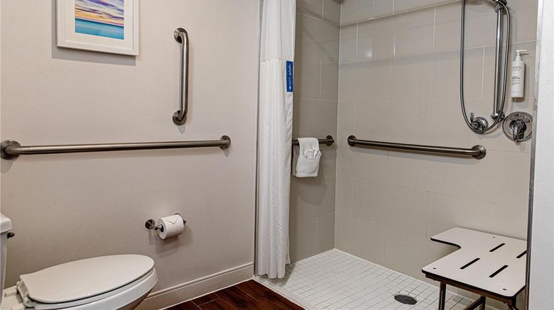 <b>Hampton Inn Charleston/Daniel Island Room</b>. Images powered by <a href="https://iceportal.shijigroup.com/" title="IcePortal" target="_blank">IcePortal</a>.