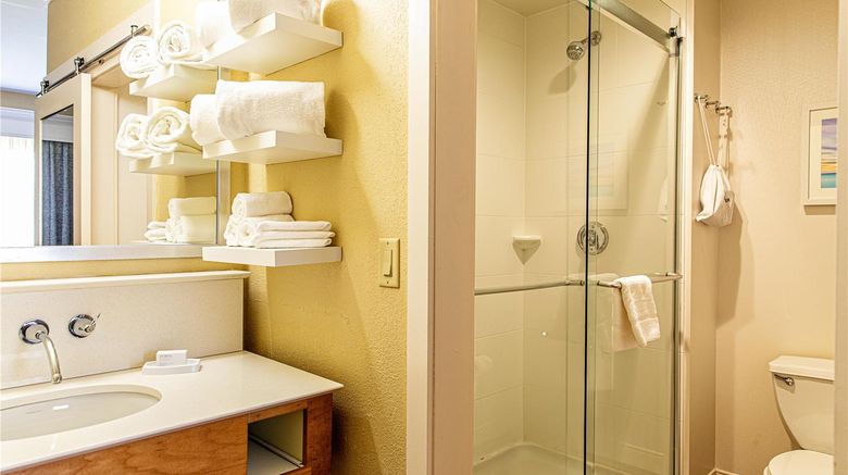 <b>Hampton Inn Charleston/Daniel Island Room</b>. Images powered by <a href="https://iceportal.shijigroup.com/" title="IcePortal" target="_blank">IcePortal</a>.