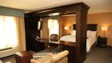 <b>Hampton Inn & Suites Carlsbad Room</b>. Images powered by <a href="https://iceportal.shijigroup.com/" title="IcePortal" target="_blank">IcePortal</a>.