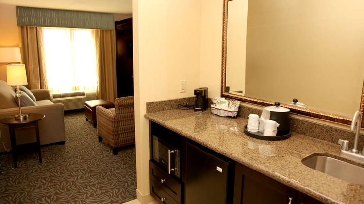 Hampton Inn & Suites Carlsbad Other