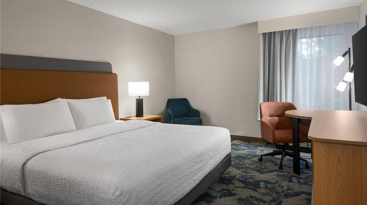 Hampton Inn Cartersville Room