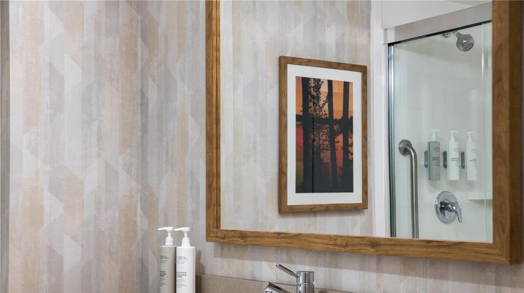 Hampton Inn Cartersville Room
