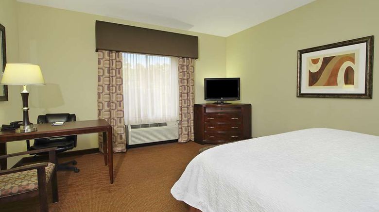 <b>Hampton Inn & Suites Conroe Room</b>. Images powered by <a href="https://iceportal.shijigroup.com/" title="IcePortal" target="_blank">IcePortal</a>.