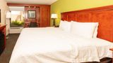Hampton Inn Daytona Speedway-Airport Room