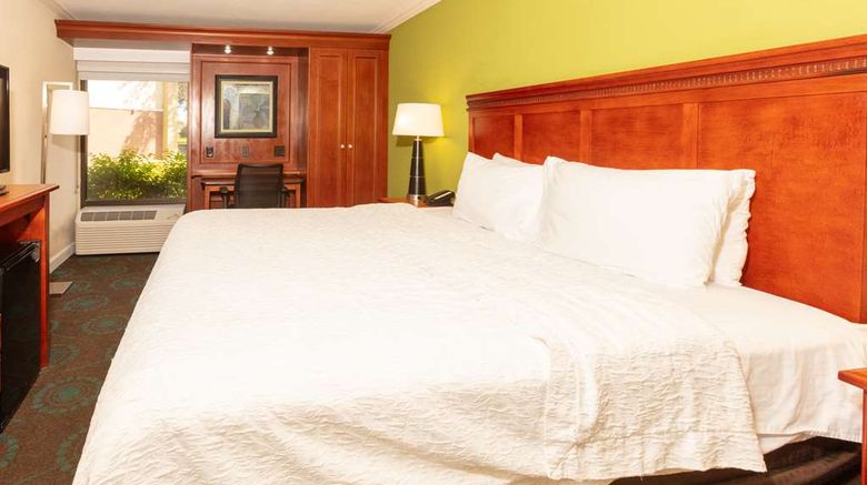 <b>Hampton Inn Daytona Speedway-Airport Room</b>. Images powered by <a href="https://iceportal.shijigroup.com/" title="IcePortal" target="_blank">IcePortal</a>.