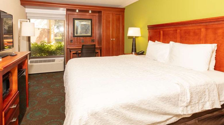 <b>Hampton Inn Daytona Speedway-Airport Room</b>. Images powered by <a href="https://iceportal.shijigroup.com/" title="IcePortal" target="_blank">IcePortal</a>.