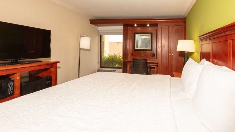 <b>Hampton Inn Daytona Speedway-Airport Room</b>. Images powered by <a href="https://iceportal.shijigroup.com/" title="IcePortal" target="_blank">IcePortal</a>.