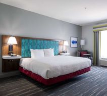 Hampton Inn & Suites Dallas/Lewisville Room