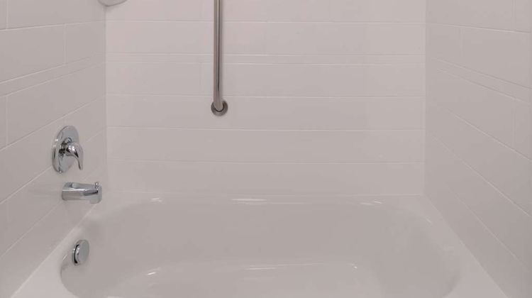 Hampton Inn & Suites Denver-Speer Blvd Room