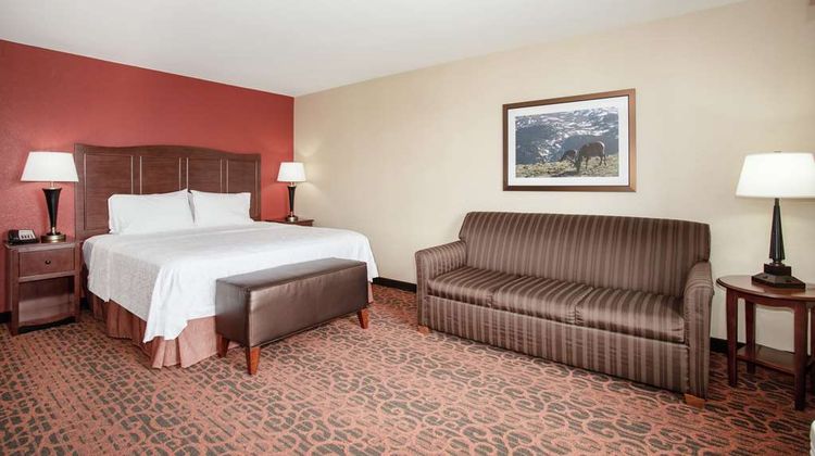 Hampton Inn & Suites Denver/South-Ridge Room