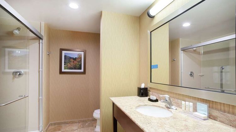 Hampton Inn & Suites Denver/South-Ridge Room
