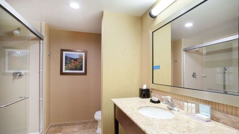 <b>Hampton Inn & Suites Denver/South-Ridge Room</b>. Images powered by <a href="https://iceportal.shijigroup.com/" title="IcePortal" target="_blank">IcePortal</a>.