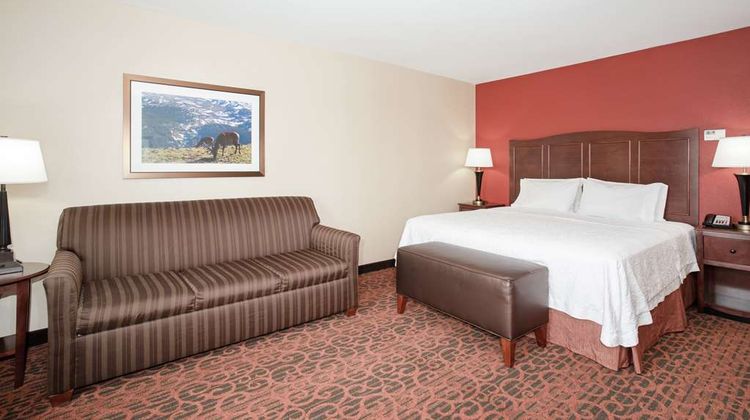 Hampton Inn & Suites Denver/South-Ridge Room