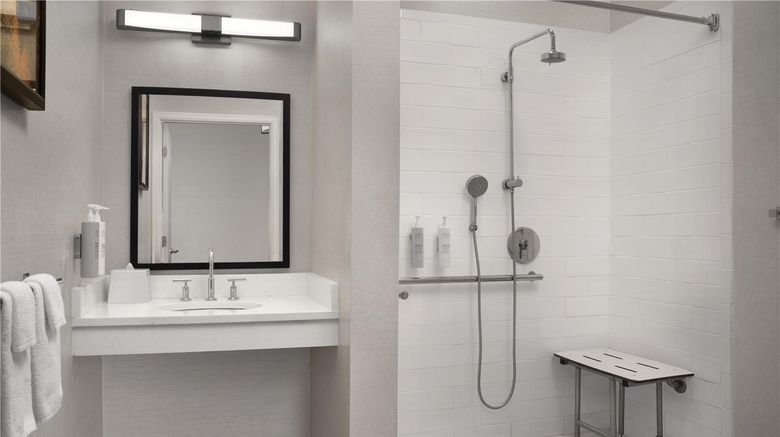 <b>Hampton Inn & Suites Denver Tech Center Room</b>. Images powered by <a href="https://iceportal.shijigroup.com/" title="IcePortal" target="_blank">IcePortal</a>.