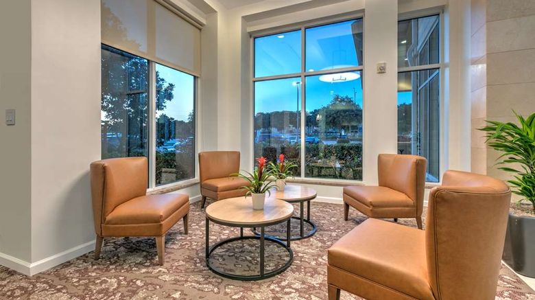 <b>Hilton Garden Inn Dallas/Arlington Lobby</b>. Images powered by <a href="https://iceportal.shijigroup.com/" title="IcePortal" target="_blank">IcePortal</a>.