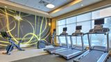 Hilton Garden Inn Dallas/Arlington Health