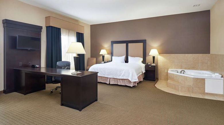 <b>Hampton Inn & Suites Decatur Room</b>. Images powered by <a href="https://iceportal.shijigroup.com/" title="IcePortal" target="_blank">IcePortal</a>.