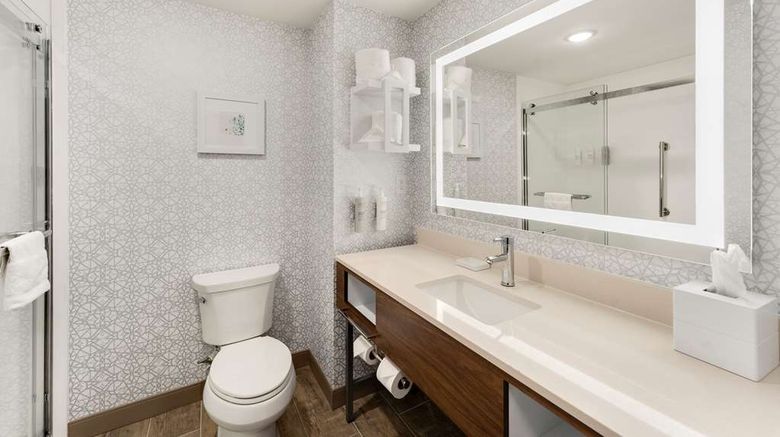 <b>Hampton Inn Milford Room</b>. Images powered by <a href="https://iceportal.shijigroup.com/" title="IcePortal" target="_blank">IcePortal</a>.