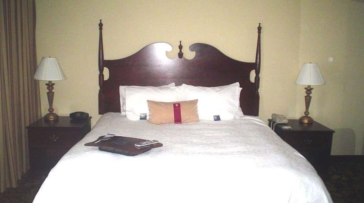 Hampton Inn & Suites Del Rio Room