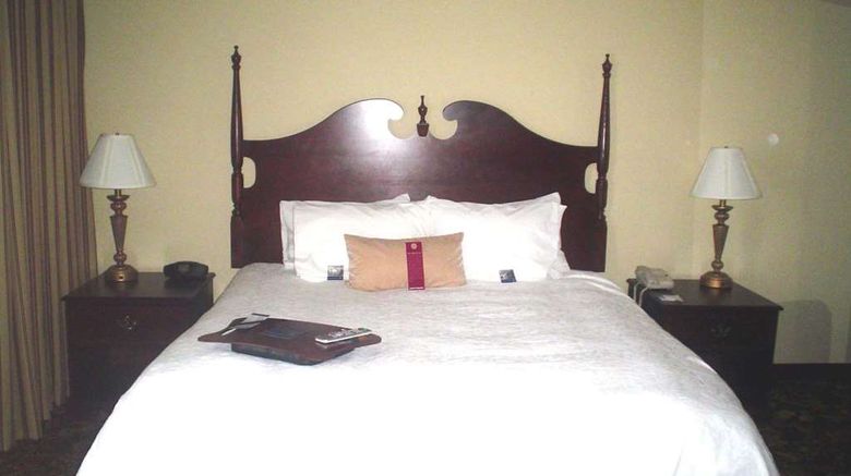 <b>Hampton Inn & Suites Del Rio Room</b>. Images powered by <a href="https://iceportal.shijigroup.com/" title="IcePortal" target="_blank">IcePortal</a>.