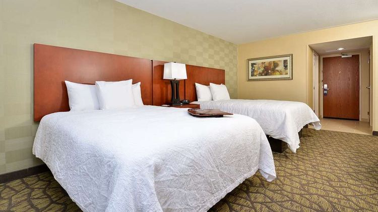 Hampton Inn Detroit/Auburn Hills South Room