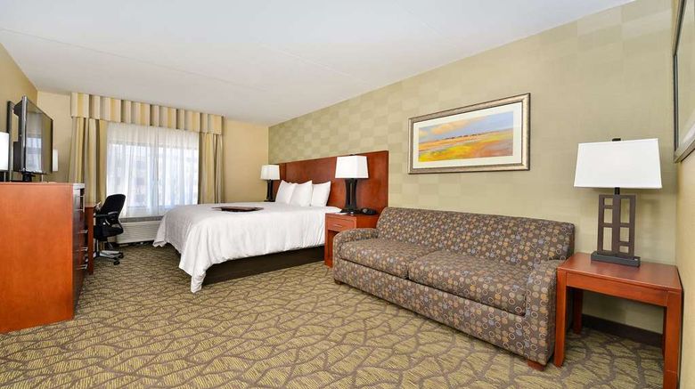<b>Hampton Inn Detroit/Auburn Hills South Room</b>. Images powered by <a href="https://iceportal.shijigroup.com/" title="IcePortal" target="_blank">IcePortal</a>.