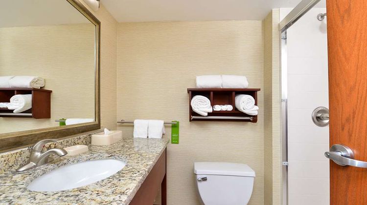 Hampton Inn Detroit/Auburn Hills South Room